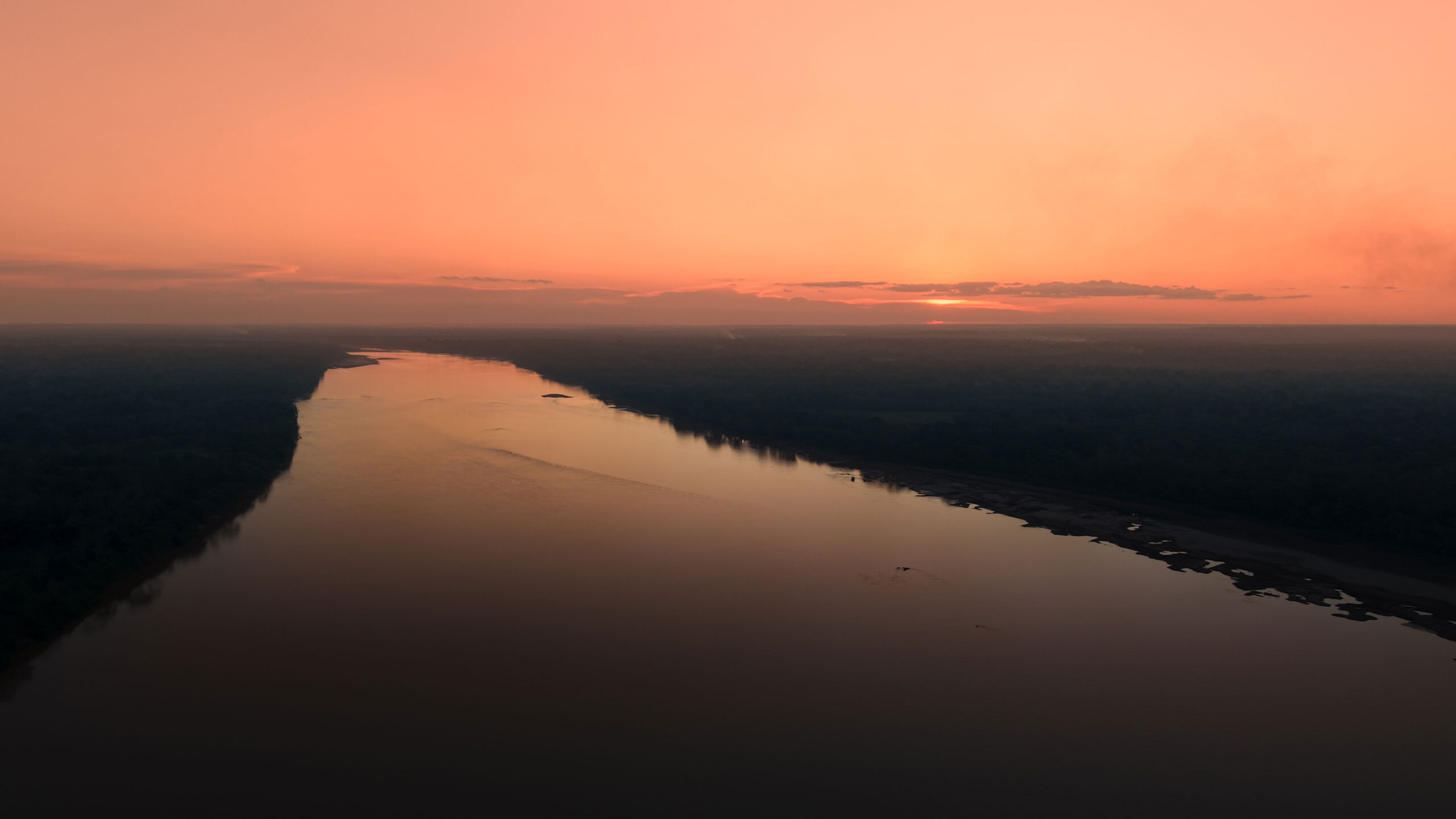 Amazon Planet: 4 Days in the Amazon with the Canon R8